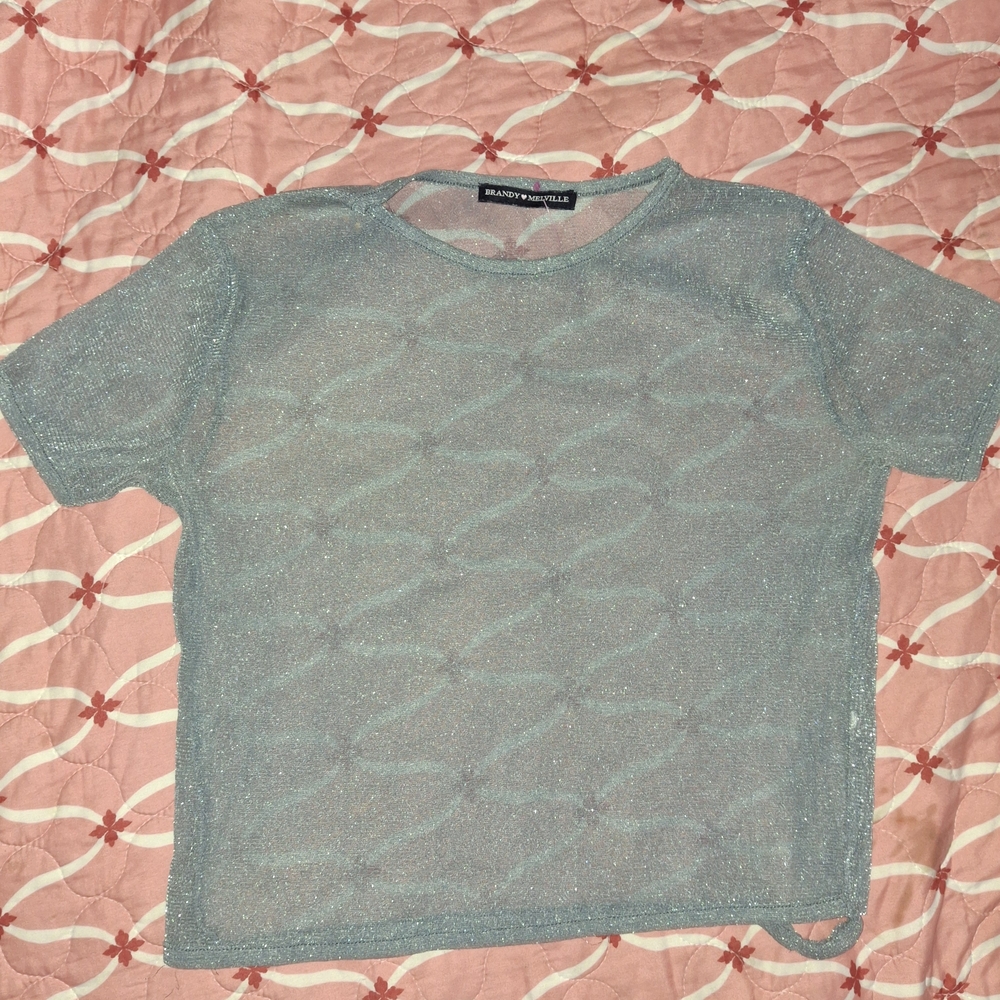 Melville Sparkly Sheer Metallic Short Sleeve Top